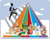 USDA Food Pyramid