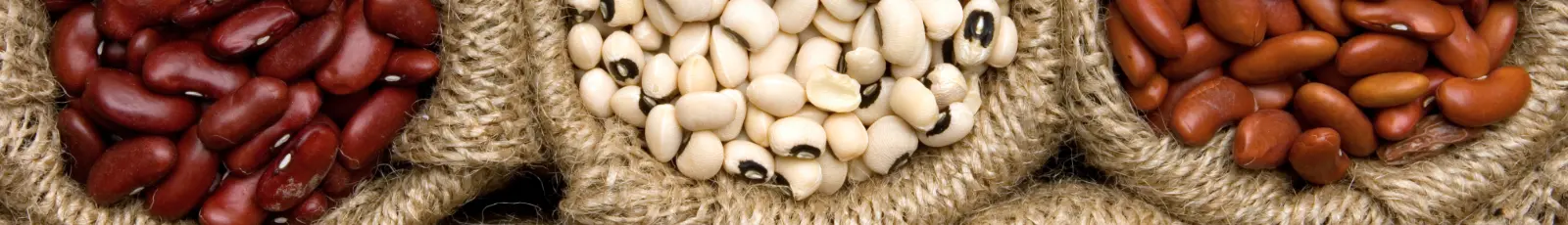 Beans in burlap