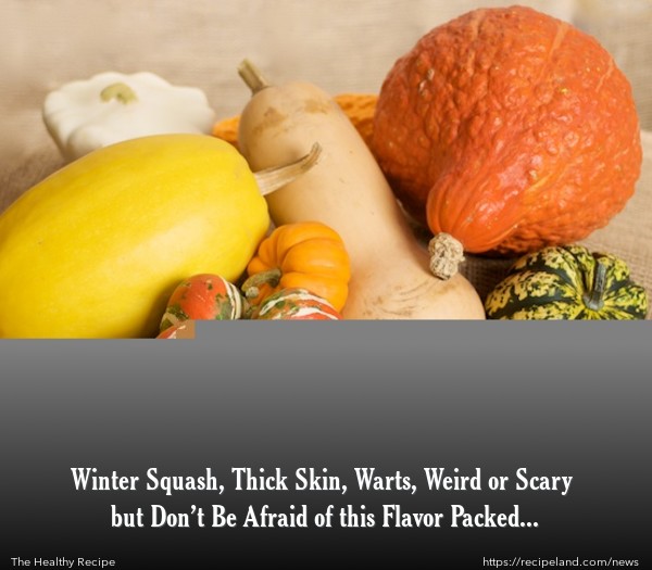 A variety of winter squash: Turban, Hubbard, Carnival (Acorn), Butternut, Spaghetti Squash, Kuri and mini-pumpkins