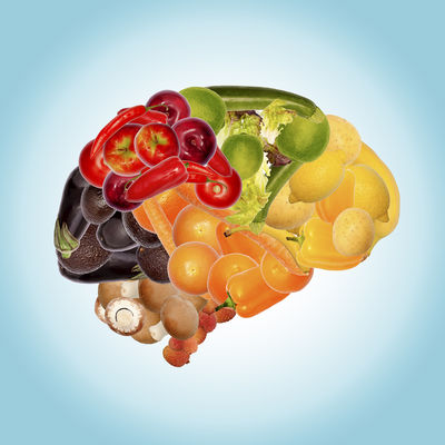 The food and brain connection