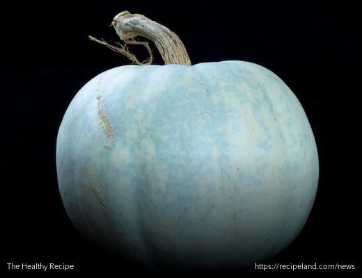 A blue pumpkin, generally only found at Fall Farmers Markets