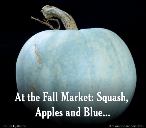 A blue pumpkin, generally only found at Fall Farmers Markets