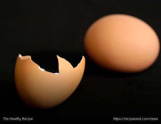 Brown Chicken Egg and Egg Shell