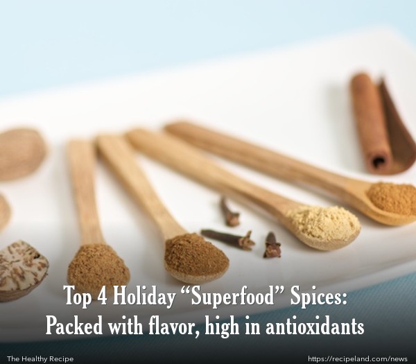 Fall and Winter Seasonal Spices, Nutmeg, Cloves, Ginger and Cinnamon