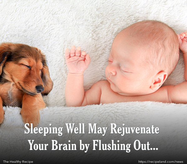 Sleeping Well May Rejuvenate Your Brain by Flushing Out Toxins 