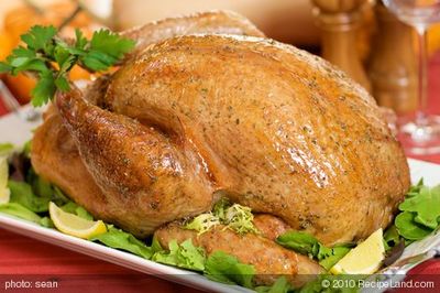  Herb Roasted Turkey