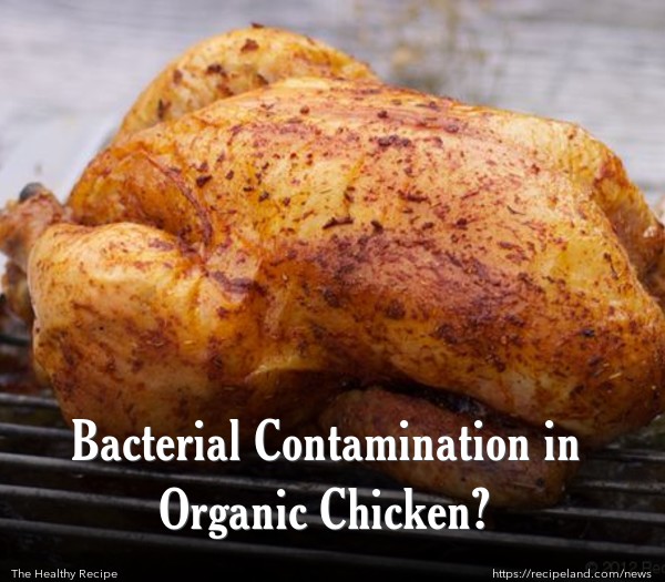 Bacterial Contamination in Organic Chicken?
