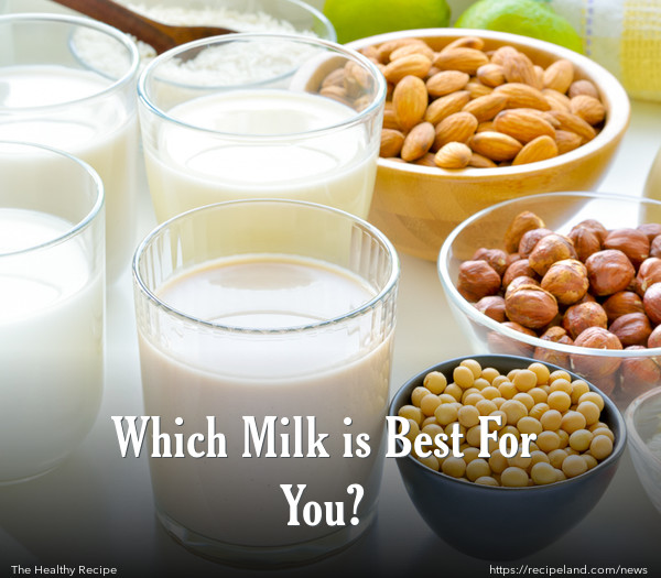 Which Milk is Best For You?