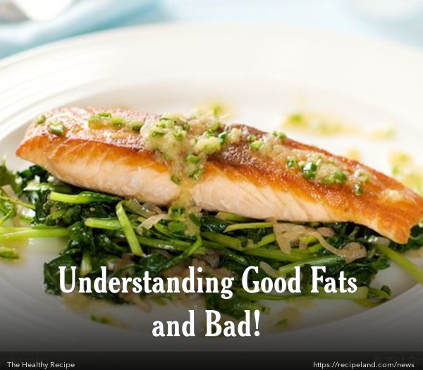 Understanding Good Fats and Bad!