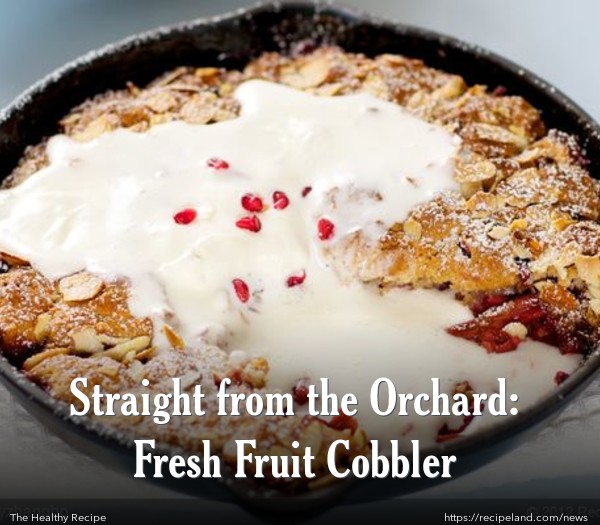 Rhubarb and Pomegranate Cobbler