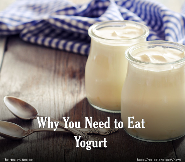 Why You Need to Eat Yogurt