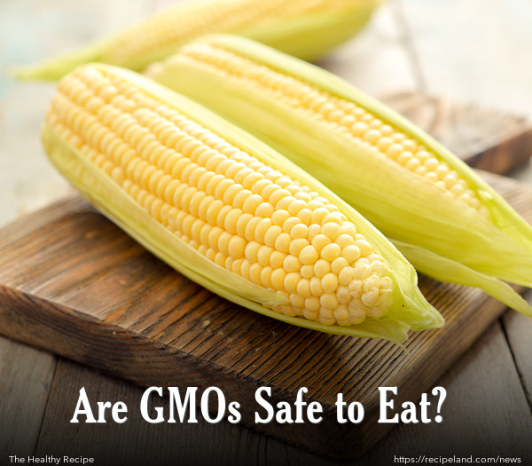 Are GMOs Safe to Eat?