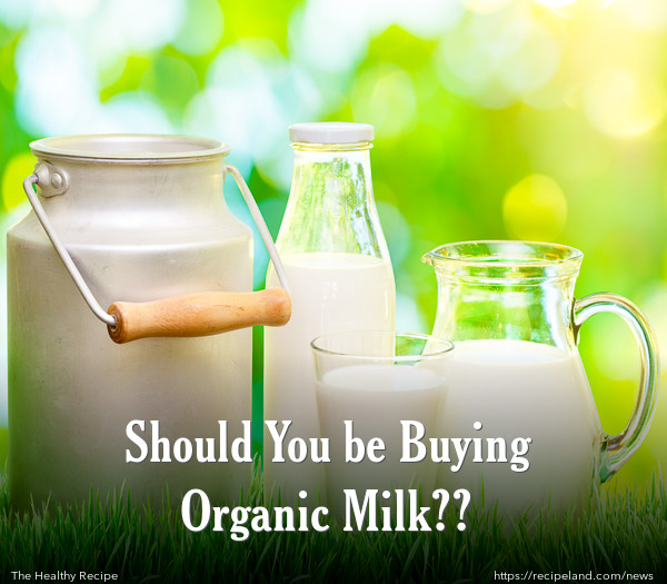 Should You be Buying Organic Milk??