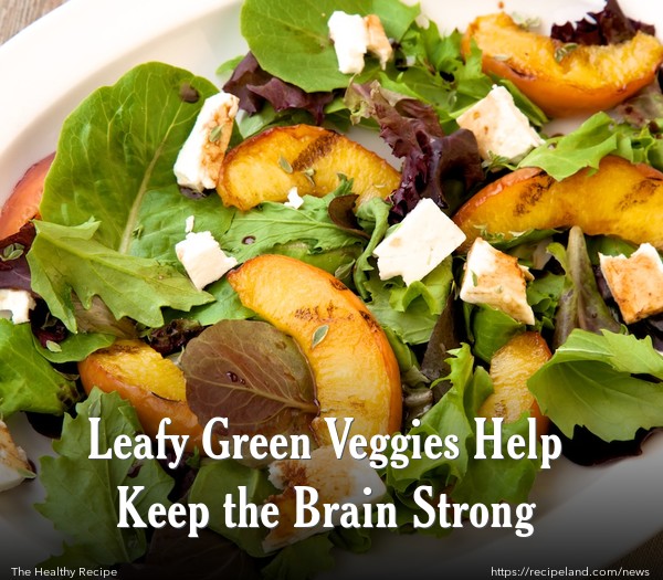 Leafy Green Veggies Help Keep the Brain Strong