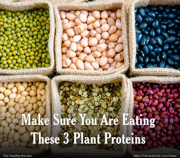 Make Sure You Are Eating These 3 Plant Proteins