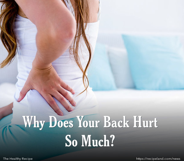 Why Does Your Back Hurt So Much?