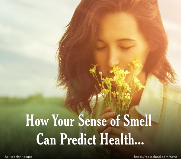 How Your Sense of Smell Can Predict Health Problems