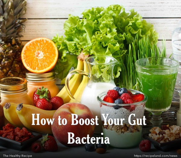 How to Boost Your Gut Bacteria