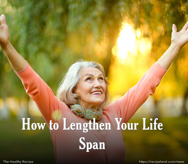 How to Lengthen Your Life Span