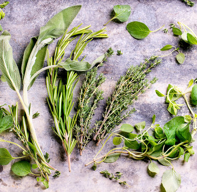 Use These 5 Herbs and Spices to Boost Brain Power