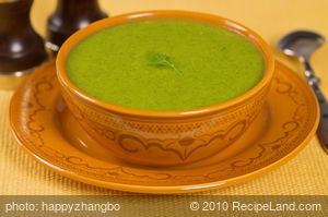 Herbed Zucchini Soup