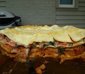 So Yummy Vegetarian lasagna