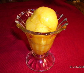 Mango Sorbet Mixture