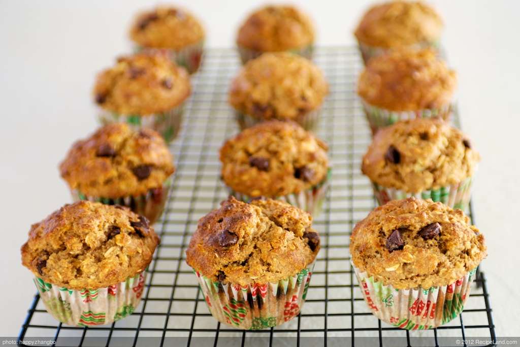 Banana Chocolate Chip Yogurt Muffins recipe