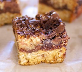 Chocolate Raspberry Streusel Squares