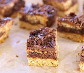 Chocolate Raspberry Streusel Squares