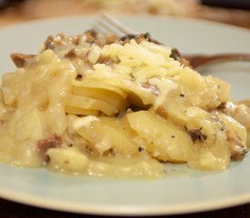 Creamy Scalloped Potatoes