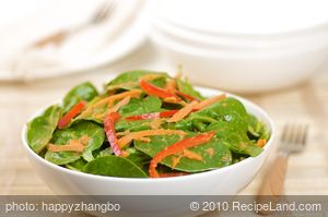 Baby Spinach Salad with Asian Ginger Dressing recipe