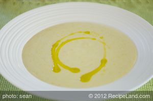 Cream of Celery Soup recipe