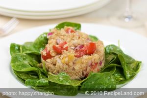 Toasted Quinoa Salad with Dried Apricots, Cherry Tomato and Baby Spinach