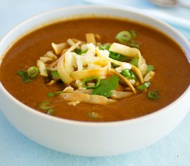 Savory Tortilla Soup