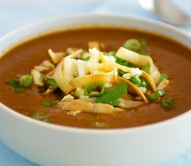 Savory Tortilla Soup