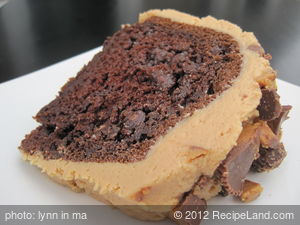 Favorite Chocolate Bundt Cake