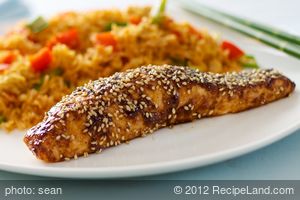 Asian Glazed Salmon (Easy) recipe