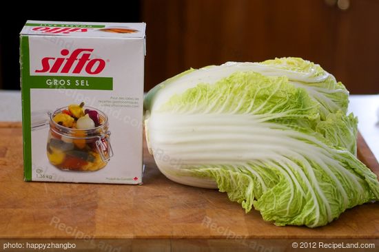 First you need a napa cabbage, coarse salt and water.