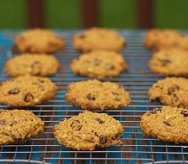 Pumpkin Oatmeal Chocolate Chip Cookies