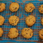 Pumpkin Oatmeal Chocolate Chip and Cranberry Cookies