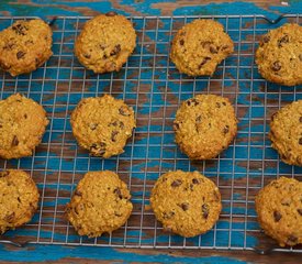 Pumpkin Oatmeal Chocolate Chip and Cranberry Cookies