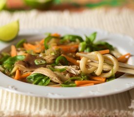 Chicken Udon Noodle Soup