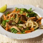 Chicken Udon Noodle Soup