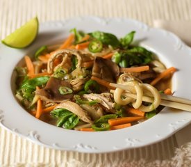 Chicken Udon Noodle Soup