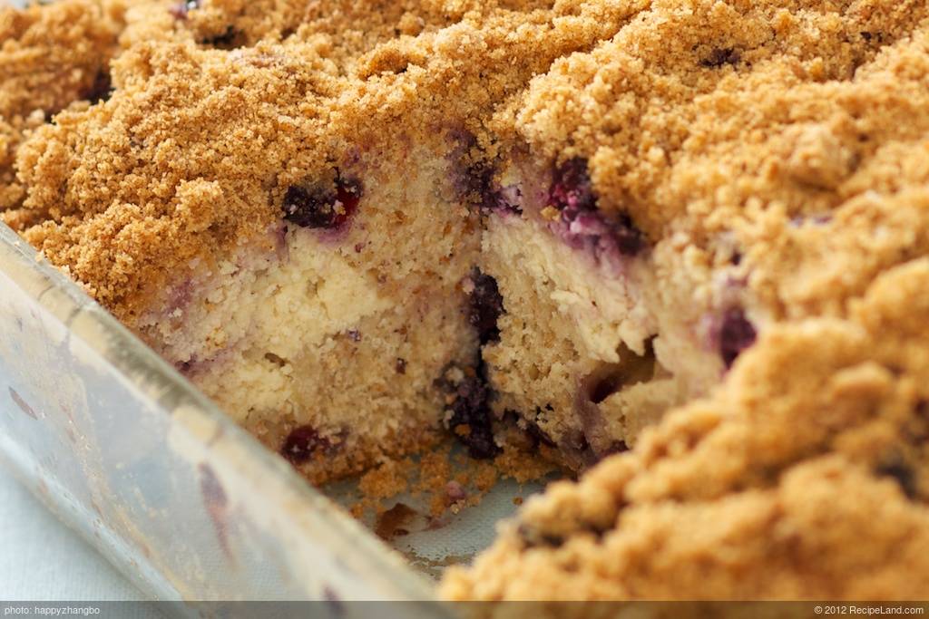 Blueberry Coffee Cake with Brown Sugar Streusel - The Recipe Rebel