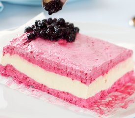 Raspberry and Vanilla Semifreddo 