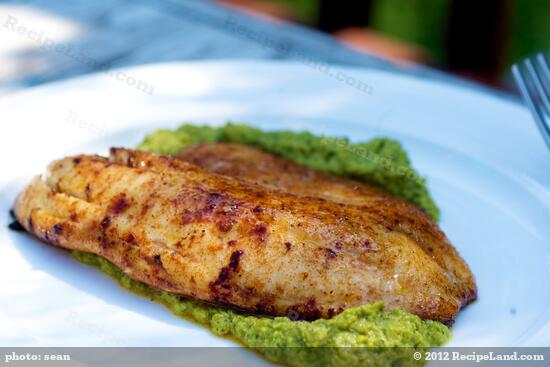 Great Grilled Flounder Recipe Recipeland