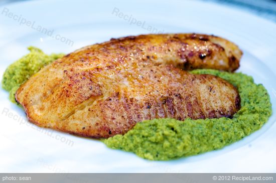 Great Grilled Flounder Recipe Recipeland