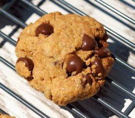 Chocolate Chip Peanut Butter Cookies